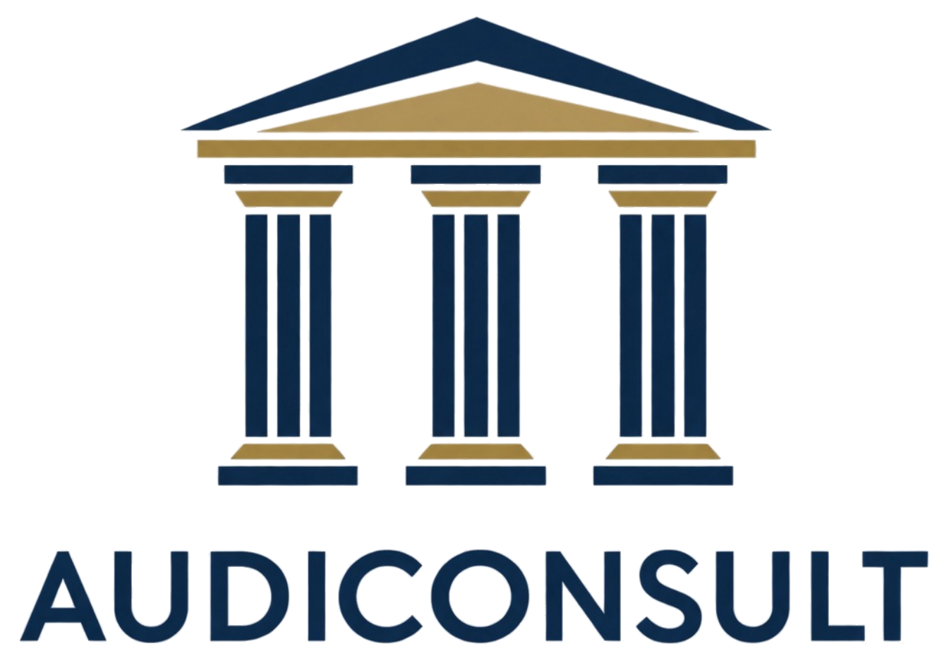 AUDICONSULT